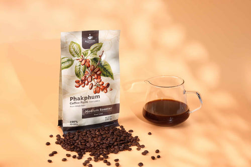 Phakphum Coffee Farm Medium Roast